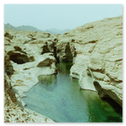 Photo of a fresh water stream out in the deserts of the UAE 1992