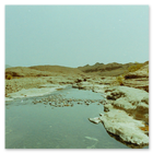 Photo of a desert stream in the UAE 1992